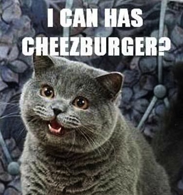 i-can-has-cheezburger